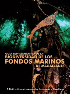 Aldea C (Ed.) (2012) Guía representativa de la biodiversidad de los fondos marinos de Magallanes= A biodiversity guide representing the seabeds of Magallanes. Fundación CEQUA, Punta Arenas, 229 pp.