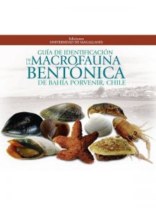 Cañete J, Aldea C, Figueroa T (Eds) (2014) Guía para la identificación de la macrofauna bentónica de la bahía de Porvenir, Chile. Ediciones Universidad de Magallanes, Punta Arenas, Chile, 84 pp.
