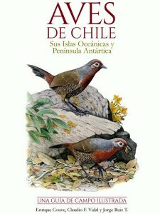 Couve E, Vidal CF, Ruiz T J (2016) Aves de Chile: sus islas oceánicas y península Antártica: una guía de campo ilustrada. Primera edición, 2016. FS Editorial / Far South Expeditions Ltda., Punta Arenas, Chile, 551 pp.