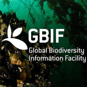 Ficha de la especie en GBIF