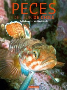Reyes P, Hüne M (2012) Peces del sur de Chile. OchoLibros, Santiago, Chile, 500 pp.