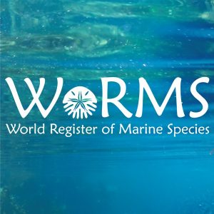 Ficha de la especie en WORMS