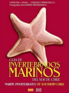 Zagal C, Hermosilla C (2007) Guía de invertebrados marinos del Sur de Chile / Guide to marine invertebrates of Southern Chile. Fantástico Sur, Punta Arenas, 263 pp.